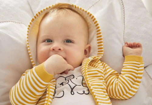 Conjunto 3 Piezas Perrito Amarillo Mayoral Niño