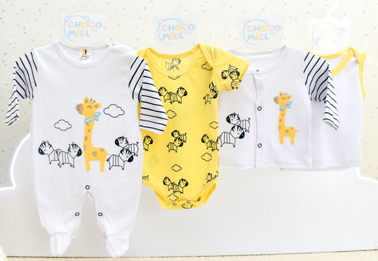 Primer Día Jirafa y Zebra