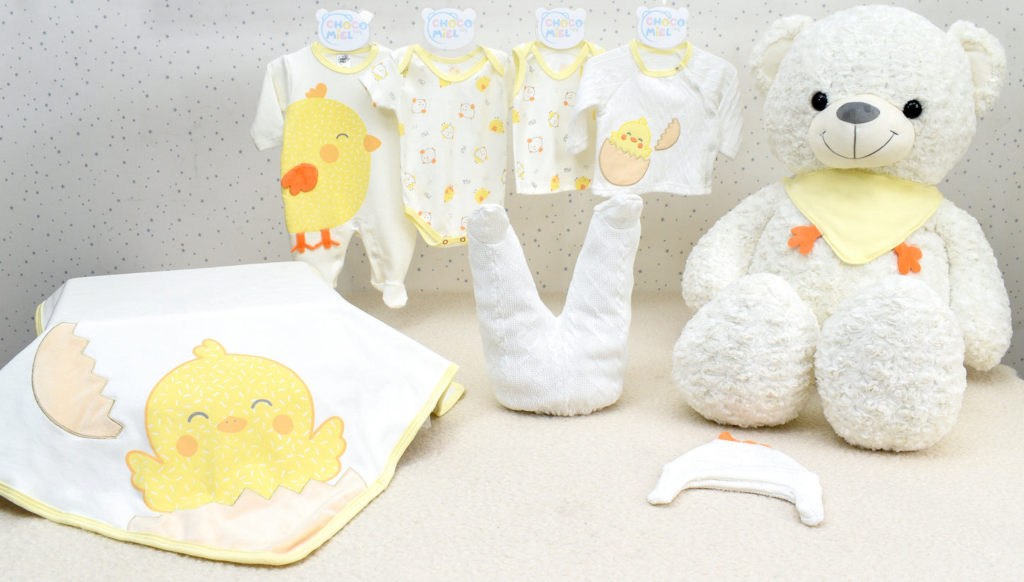 Primer Día Pollitos Niño