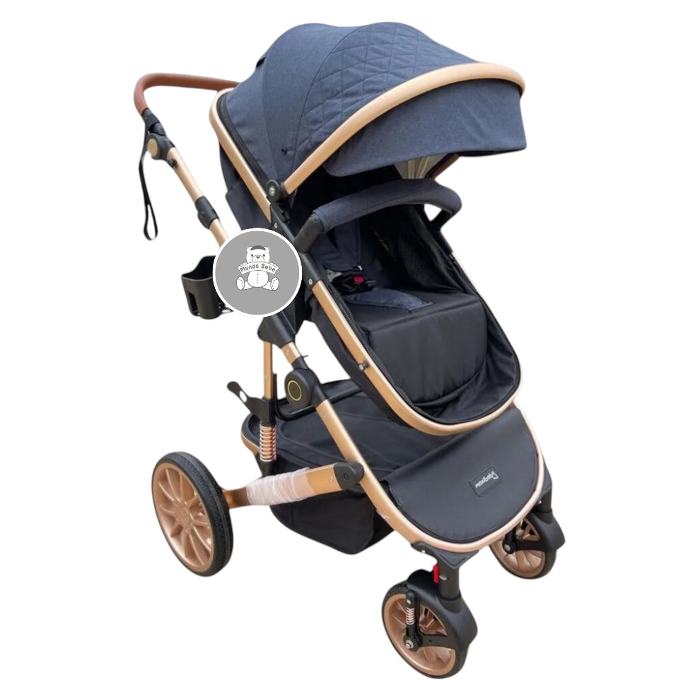 Coche Moisés Britto