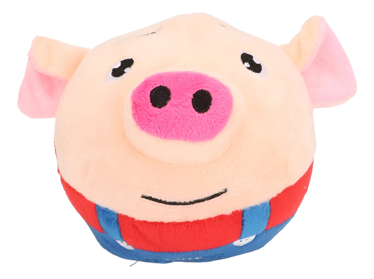 Juguete Pelota Interactiva Musical Saltarín Bluetooth Recargable