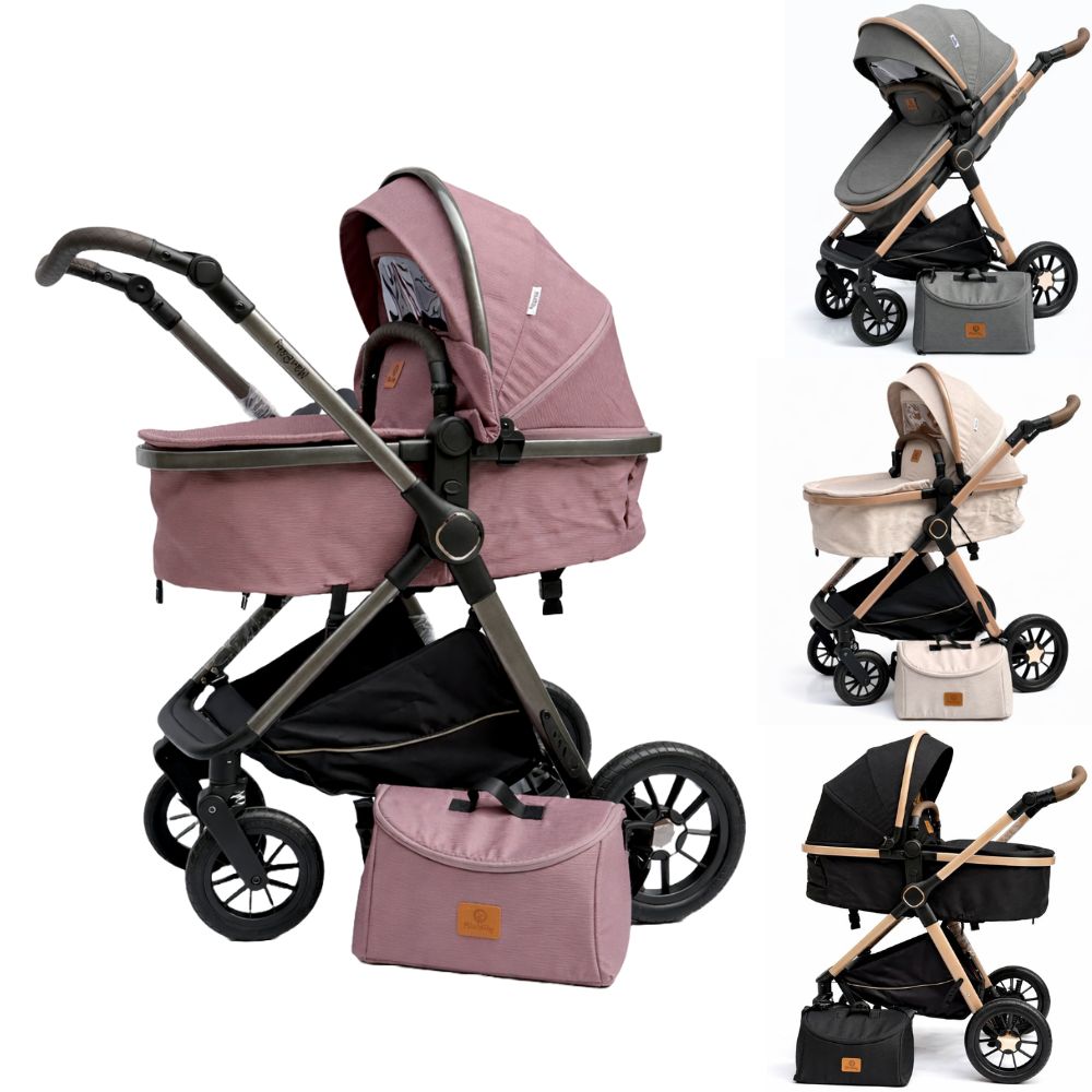 Coche Moisés Spider + Pañalera Maxibaby