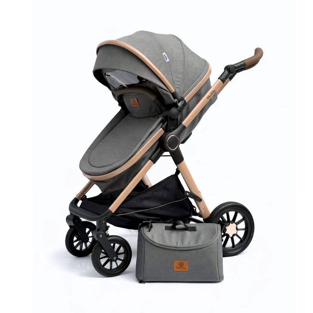 Coche Moisés Spider + Pañalera Maxibaby