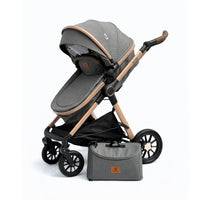 Coche Moisés Spider + Pañalera Maxibaby