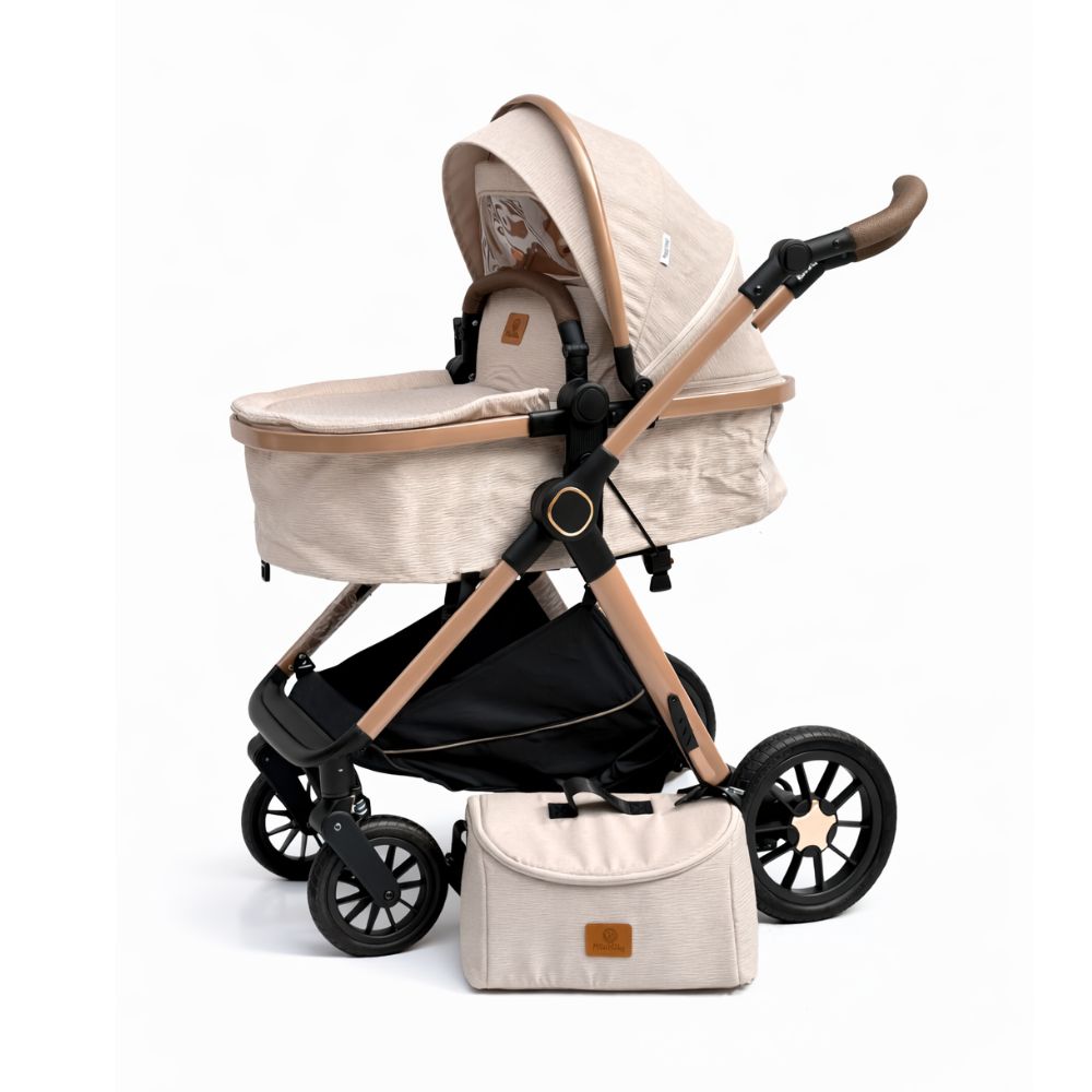 Coche Moisés Spider + Pañalera Maxibaby