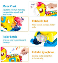 Caballo Xilófono Musical Juguete de Estimulación Temprana