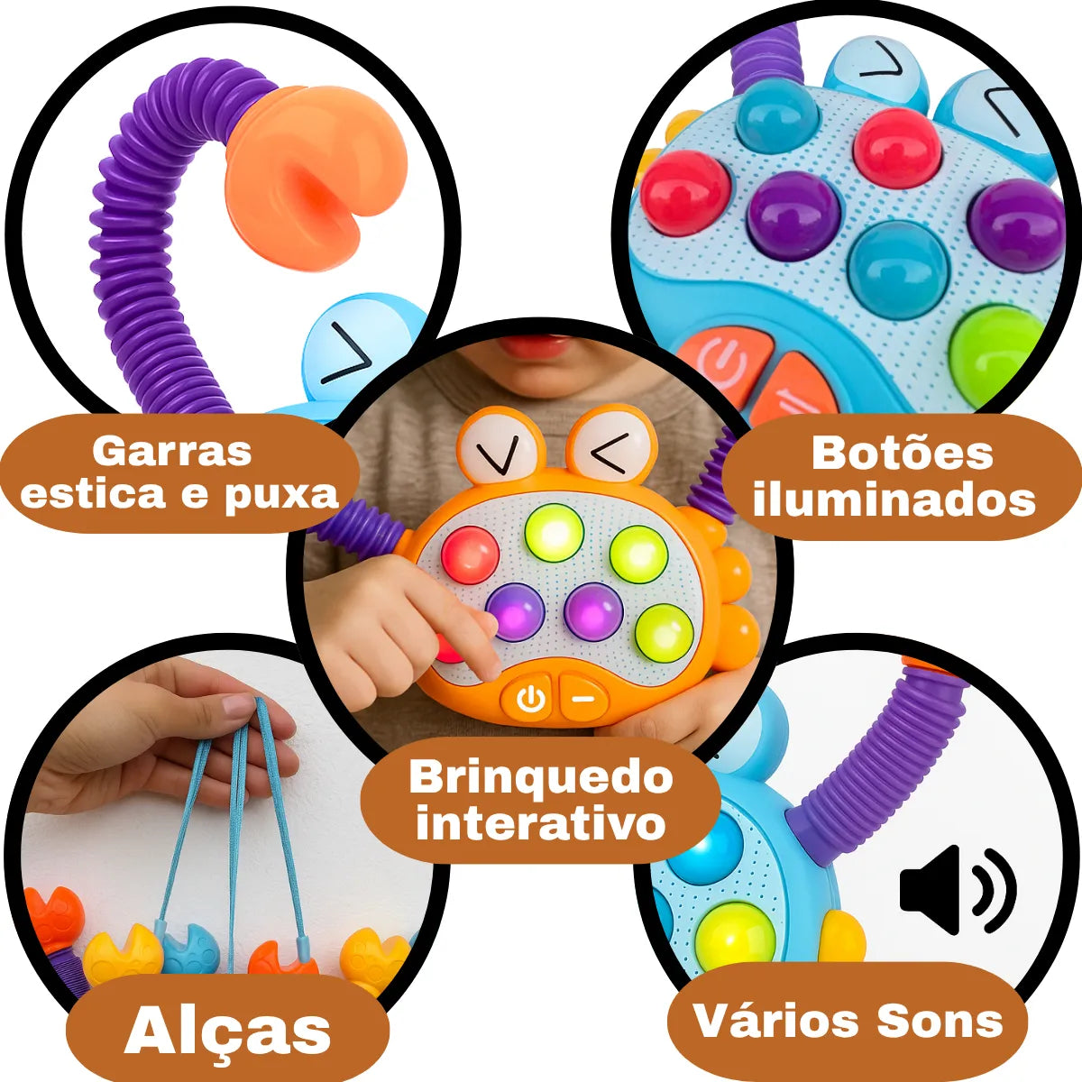 Juguete Musical Sensorial de Cangrejo Educativo